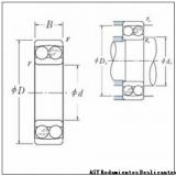 AST AST090 1525 Rodamientos Deslizantes